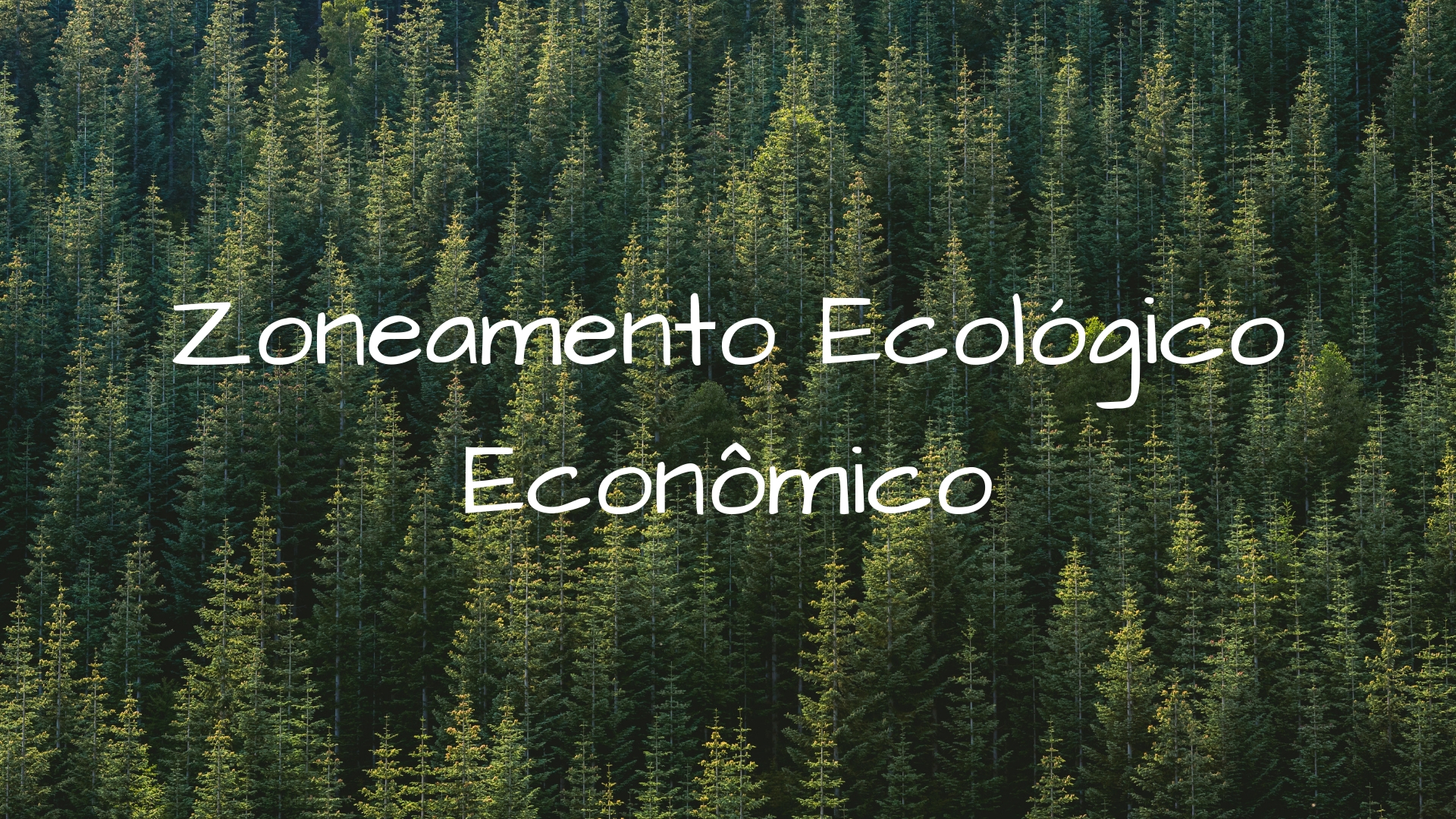 zoneamento ecologico economico