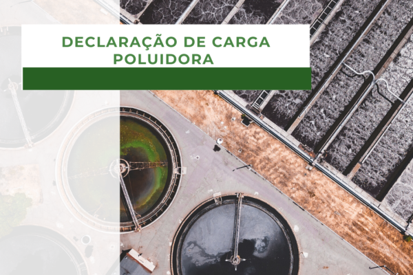 Declaração de carga poluidora