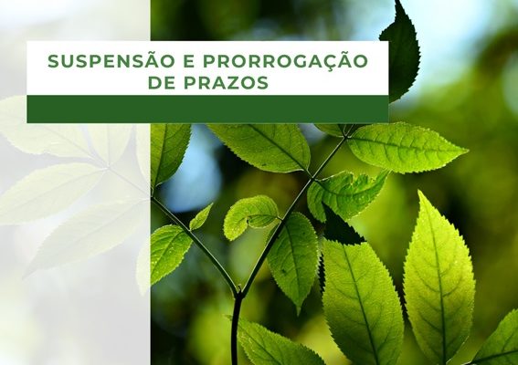 Suspensão e Prorrogação de Prazos