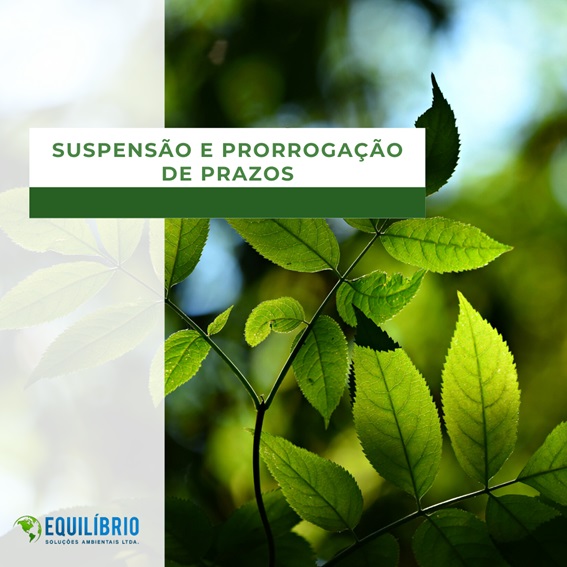 Suspensão e Prorrogação de Prazos