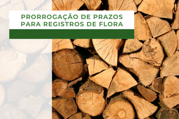 prorrogam o prazo para registros relacionados a flora, em Minas Gerais.