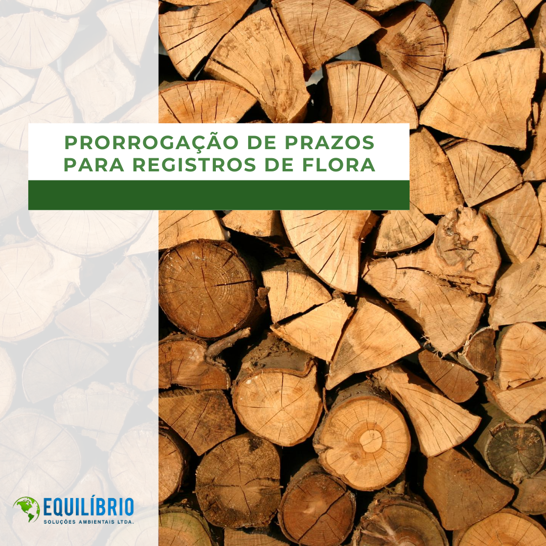prorrogam o prazo para registros relacionados a flora, em Minas Gerais.