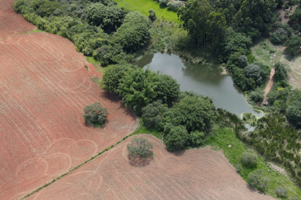 Simples Declaração - Consultoria ambiental