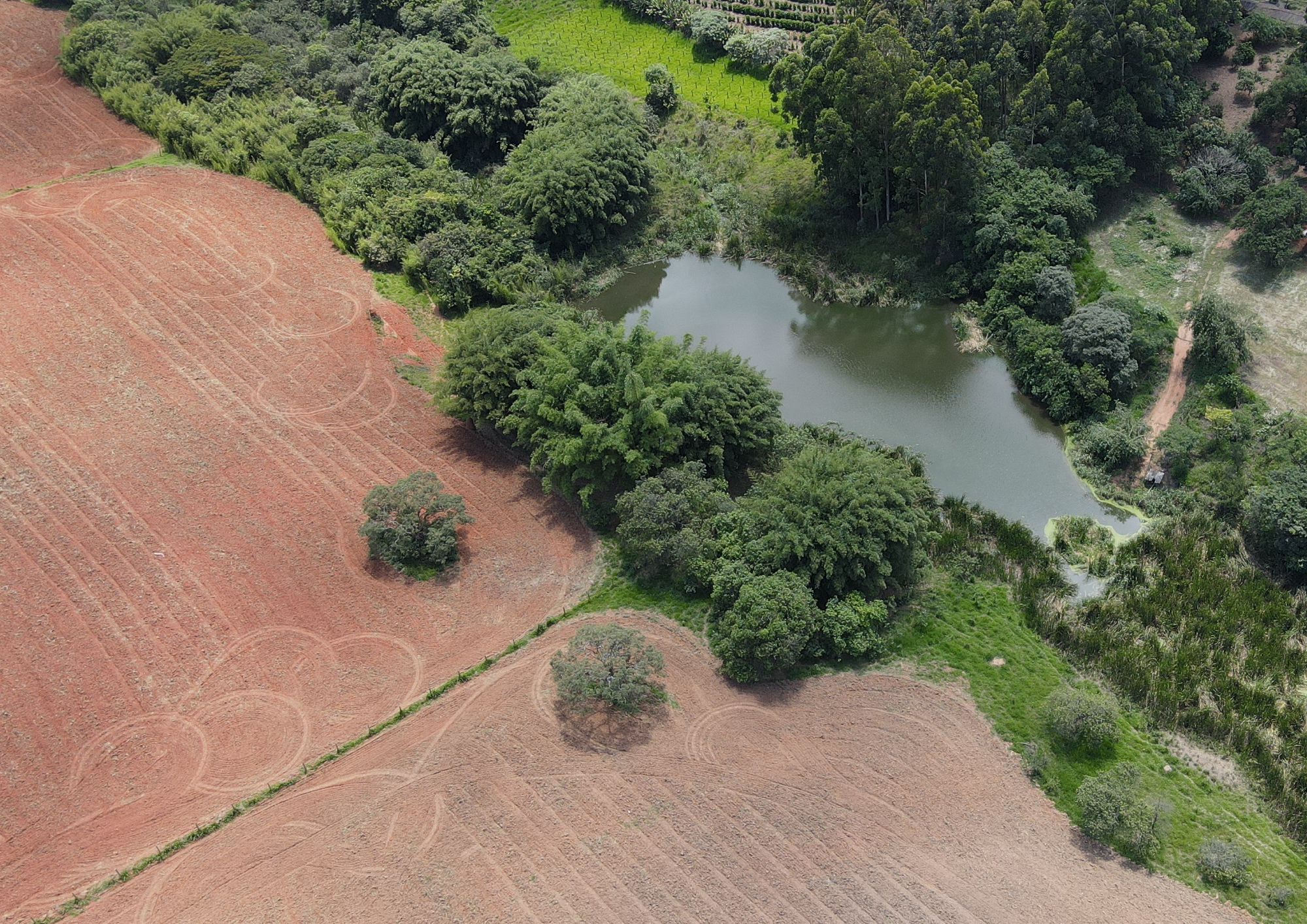 Simples Declaração - Consultoria ambiental